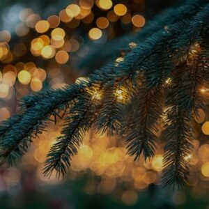 Plateau apértif pour 2 personnes